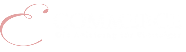 E-Commerce Anleitung